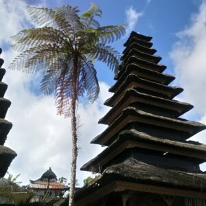 Modelage traditionnel Balinais 1h30mn